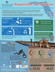 Juno_pier_infographic(2013)