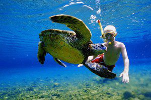 hawaii-tour-gallery-300x200