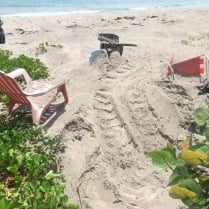 cm-nest-between-beach-chairs2