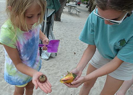 junior-marine-biologist-summer-camp