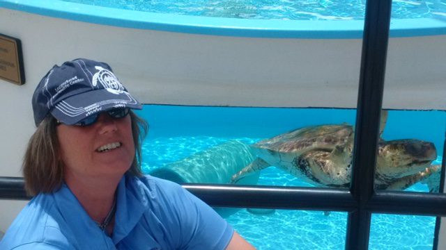 After falling in love with sea turtles, Nancy regularly volunteers at the Center.
