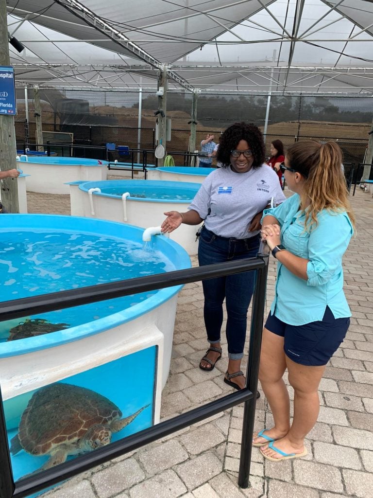 In light of COVID, Loggerhead Marinelife Center will provide virtual educational programming to engage supporters.