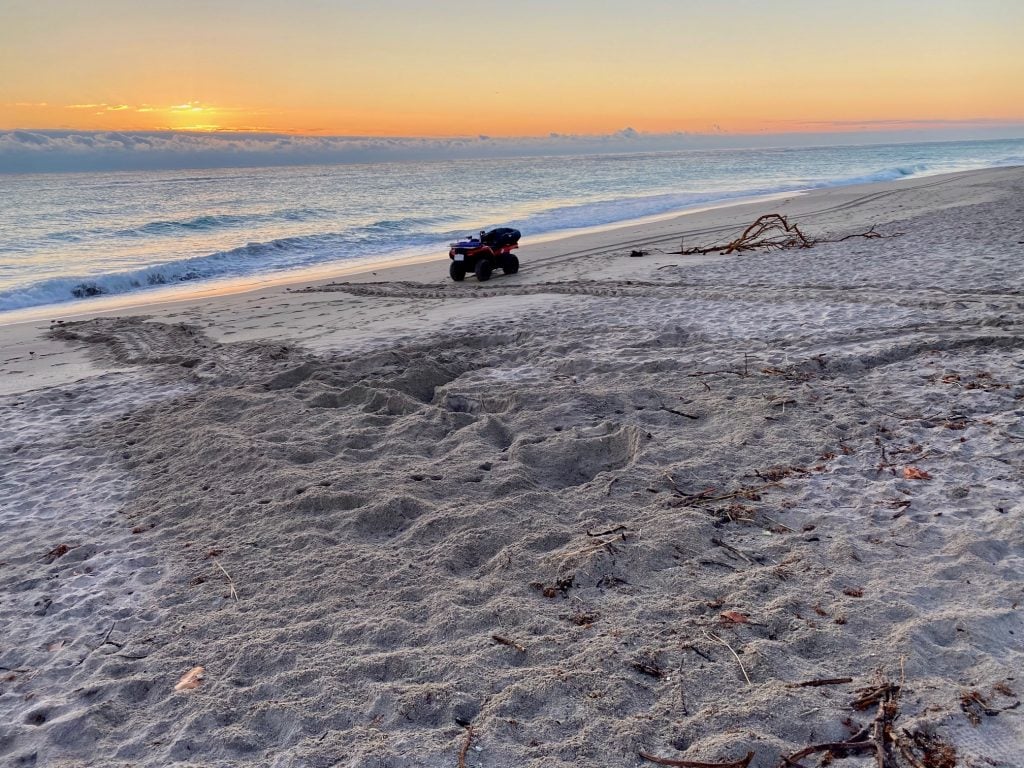 Friday, February 28th marked the start of the 2020 sea turtle nesting season on LMC's 9.5-mile stretch of beach.