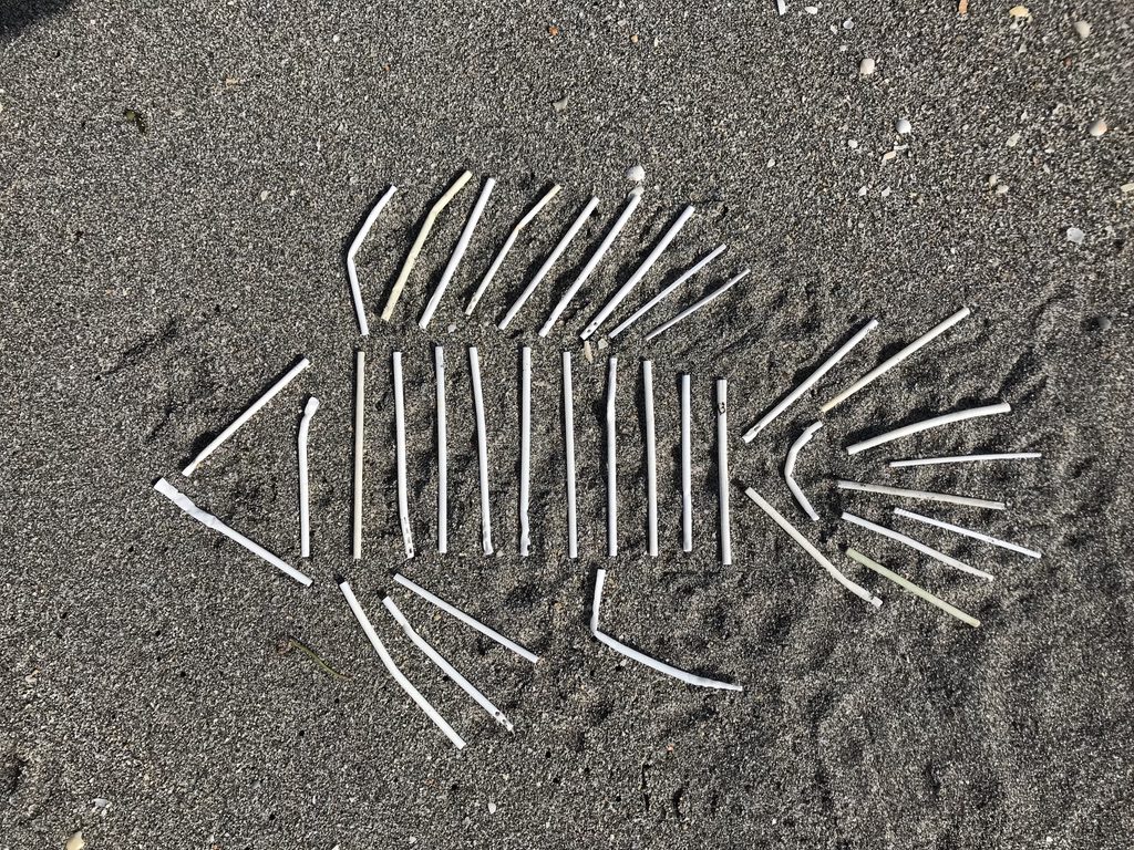 Plastic lollipop sticks are among the five most commonly reported items collected during beach cleanups worldwide.