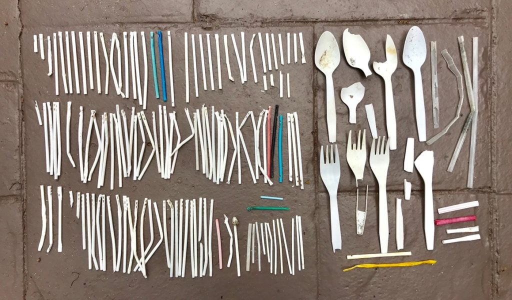 During Loggerhead Marinelife Center's conservation efforts, they collected 452 lollipop sticks over the course of seven days.