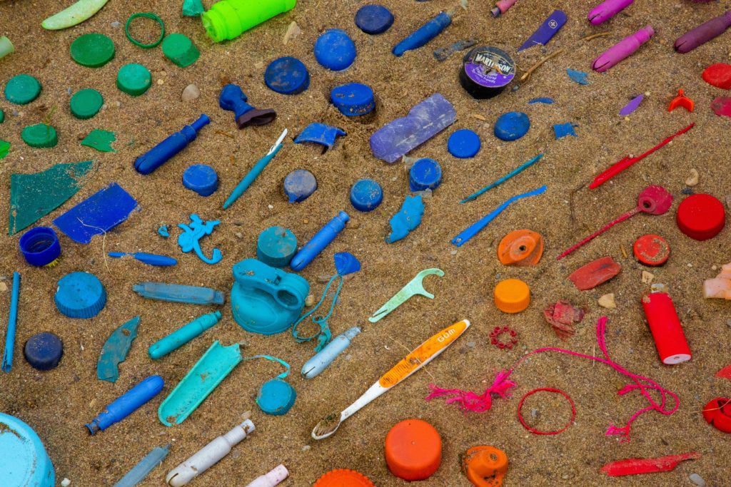 During Loggerhead Marinelife Center's conservation efforts, the Center often finds plastic and micro plastic pieces. Photo courtesy of Jasmin Sessler.