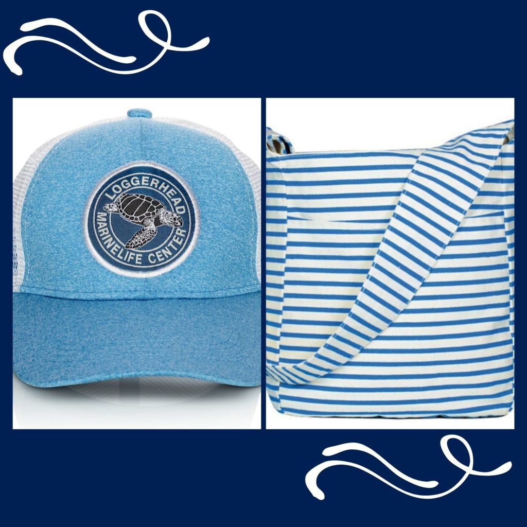 All purchases made in Loggerhead Marinelife Center's in-person or online store helps provide care to the Center's sea turtle and hatchling patients.