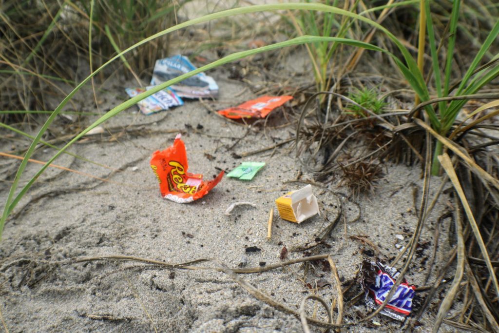 During the Ocean Conservancy's 2019 International Coastal Cleanup, one million volunteers in 116 countries picked up a total of 4,771,602 food wrappers in just one day.
