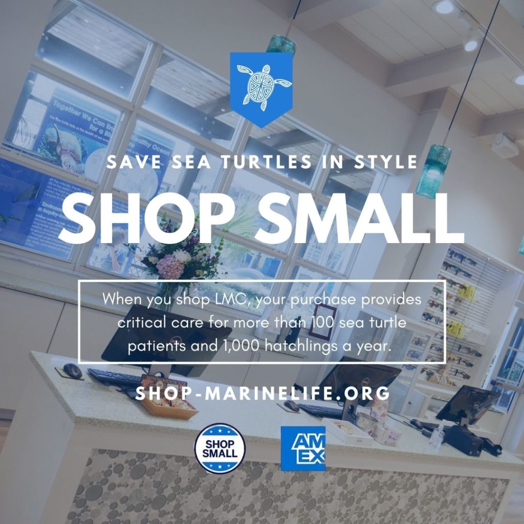 During the holiday season, there are several ways and days to shop for a cause and make your purchases have an impact.