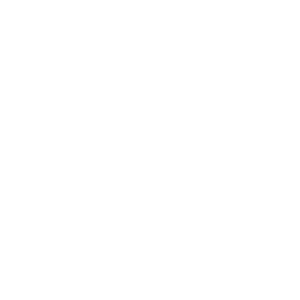 FL Arts Culture Logo(wht)