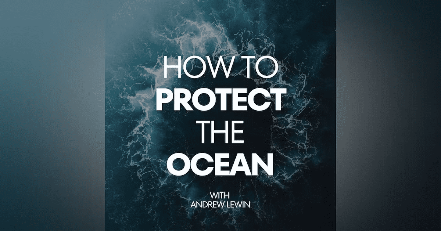 album cover for how to protect ocean podcast