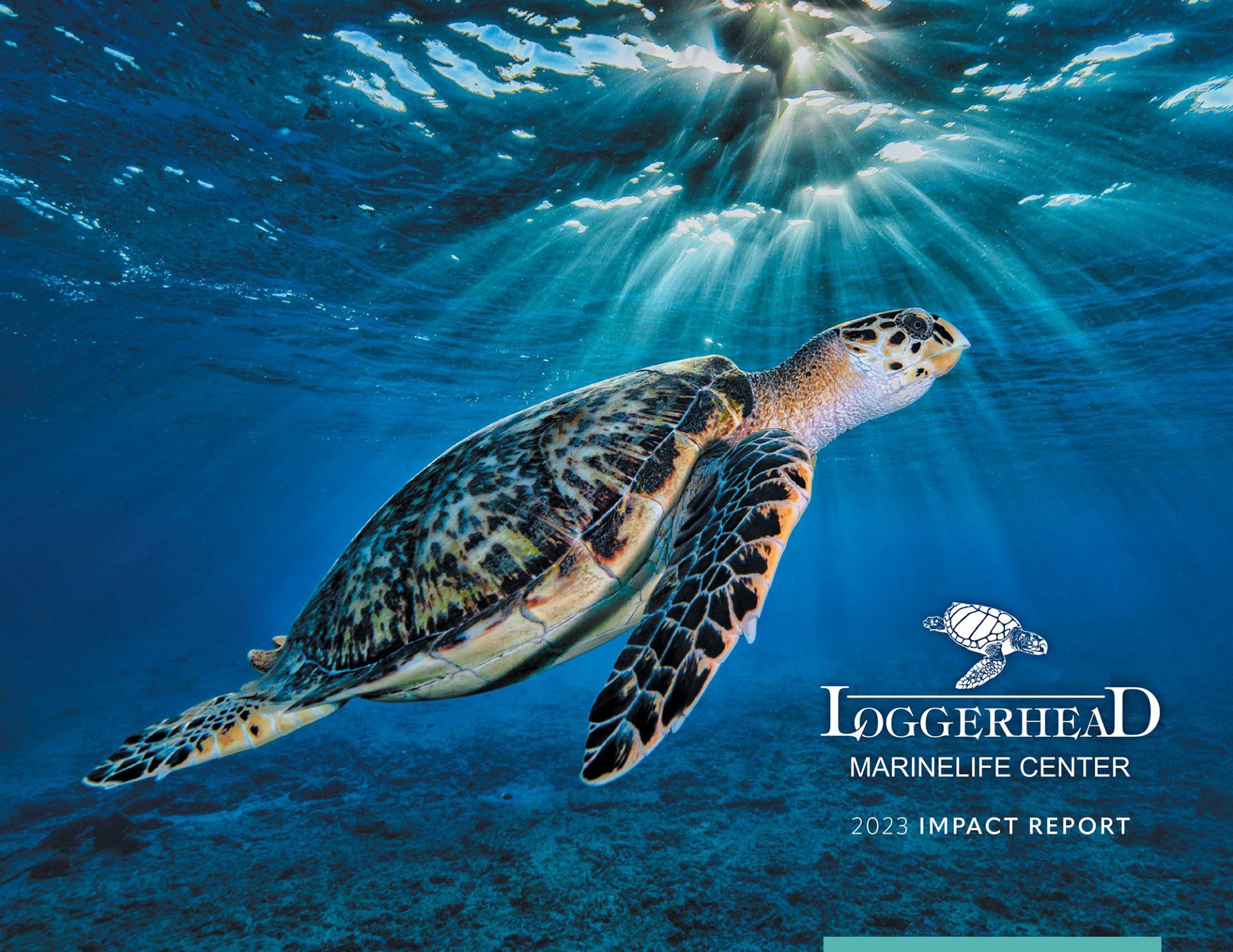 LMC_2023_Annual_Report_Cover