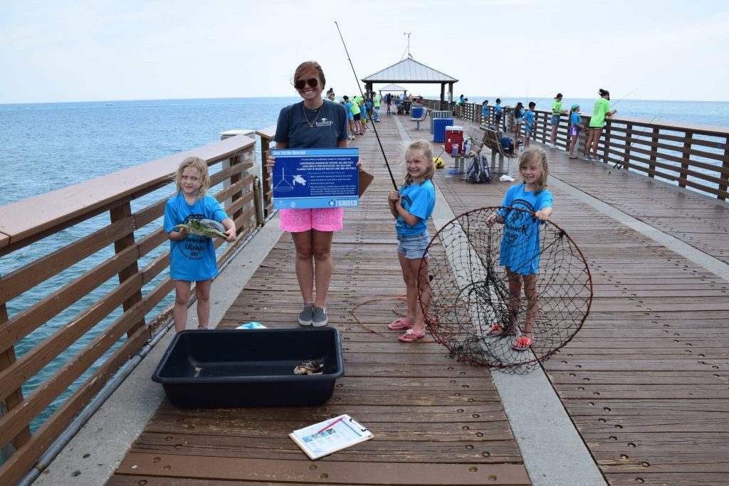 Family-Friendly-Sea-Turtle-Experiences