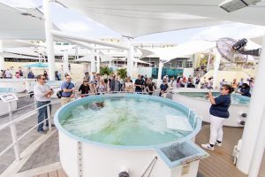 ©Sara Kauss Photography 2025