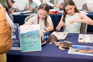 ©Sara Kauss Photography 2025