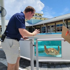 florida marine life tour